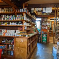 interior at Earth Foods in Bournemouth