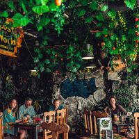 jungle at Lost World Restaurant in Lanzarote