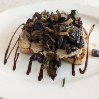 Mushroom Tartine at Oxalis Kitchen in Poulsbo