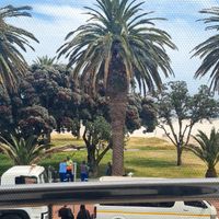 Views from inside at Plant Cafe in Cape Town