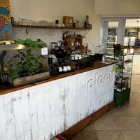   at Plant Cafe in Cape Town