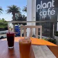   at Plant Cafe in Cape Town