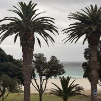   at Plant Cafe in Cape Town