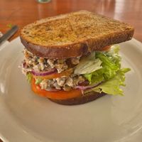 Tuna sandwich at Plant Cafe in Cape Town
