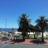 Vegan food with ocean view. at Plant Cafe in Cape Town