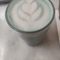 Vlinderewrtenbloesem latte at HART in Antwerpen