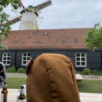 Great location with an operation mill (used flour is made by the mill) at Pannekoekenmolen De Graanhalm in Burgh-haamstede