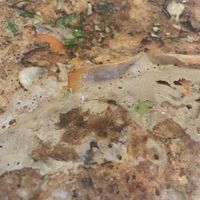   at Pannekoekenmolen De Graanhalm in Burgh-haamstede