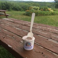 Cashew ice cream at Ms Amanda's Compassionate Ice Cream in Keene