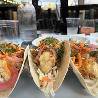 Vegan cauliflower tacos 🌮   at Keg & Kitchen in Haddon Township