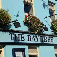 Front Entrance of The Bay Tree at The Bay Tree in Portlaoise