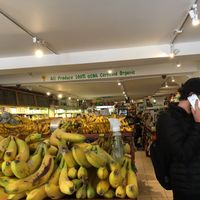 Inside of store at East Village Organic in New York City