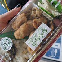 No meat, fish, egg, milk at HND - Pier - T1 in Tokyo