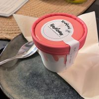 Hirnfrost ice cream (to go cup)  at Oscar Natural Good Food & Bar in Koblenz