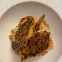 Vegan deserts   at Konnubio in Florence