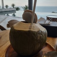 Young coconut 🥥 expensive at Halapua by Kapuhala in Koh Samui