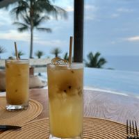 Kombucha   at Halapua by Kapuhala in Koh Samui