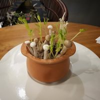 Mushroom surprise at Halapua by Kapuhala in Koh Samui