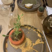 Starter: Pear & lentil  and cream cheese  at Halapua by Kapuhala in Koh Samui