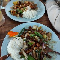 Spicy shrimp wok and tempeh soja wok! 🥰❤️ at New Vegas in Haarlem