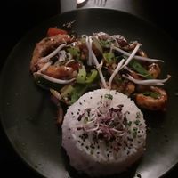 Superb oyster shrimps at New Vegas in Haarlem