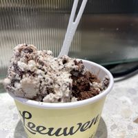  Vegan mint chip and vegan dark chocolate fudge brownie  at Van Leeuwen Ice Cream - Rock Center in New York City