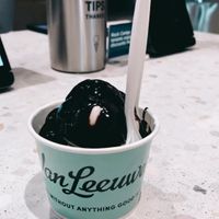  at Van Leeuwen Ice Cream - Rock Center in New York City