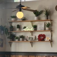 Cute vibes at Vegan Avenue in San Antonio