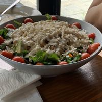   at Vegan Avenue in San Antonio