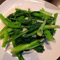  at Full Moon Garden in Amsterdam