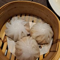  at Full Moon Garden in Amsterdam