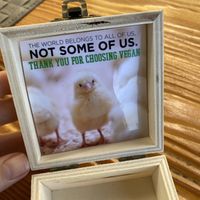 Vegan Message #Veganuary at Mundo Vegan - Vegan World in Funchal