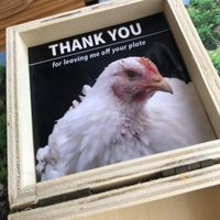 Yes from me  at Mundo Vegan - Vegan World in Funchal