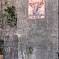 Downstairs at Mundo Vegan - Vegan World in Funchal