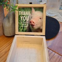  at Mundo Vegan - Vegan World in Funchal