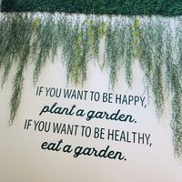 Motto at Mundo Vegan - Vegan World in Funchal