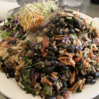 This is the tofu stir-fry, which I had on another, recent visit.  Delicious and a huge portion.   at The Manatee Cafe in St Augustine