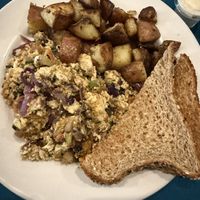   at The Manatee Cafe in St Augustine