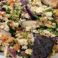  at The Manatee Cafe in St Augustine