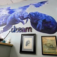  at The Manatee Cafe in St Augustine