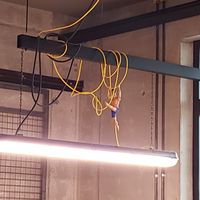   at Deig Bakery in Reykjavik