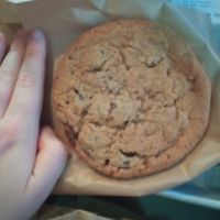 A big cookie at Deig Bakery in Reykjavik