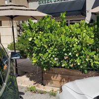 Front. A few tables outside at Green Gables Cafe in Coral Gables