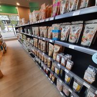 Inside at Sanum in Girona