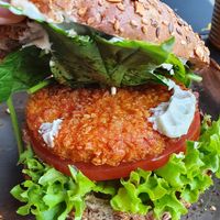 Der Crunchige at Peter Pane - Leuchtturm in Rostock