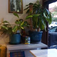 Entrance area and waiting spot at Yim Yam in Yarraville