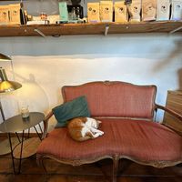  at Back to Black - Weteringstraat in Amsterdam