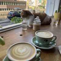   at Back to Black - Weteringstraat in Amsterdam