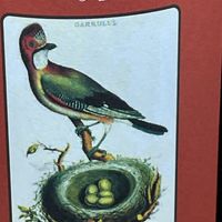 wine label   at Rebel Cheese in Austin