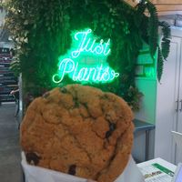 Chocolate chip cookie at Fala Bar in Santa Barbara